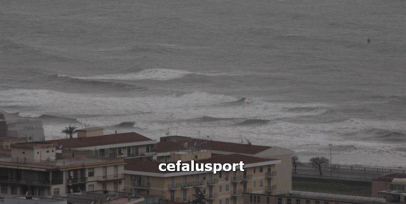 120310 stefanese 146y_tn.jpg